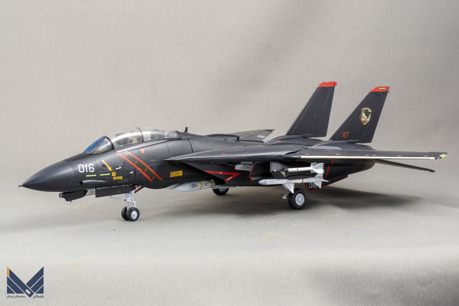 ハセガワ　1/72 F-14A エースコンバット５　ラーズグリーズ　プラモデル　完成品