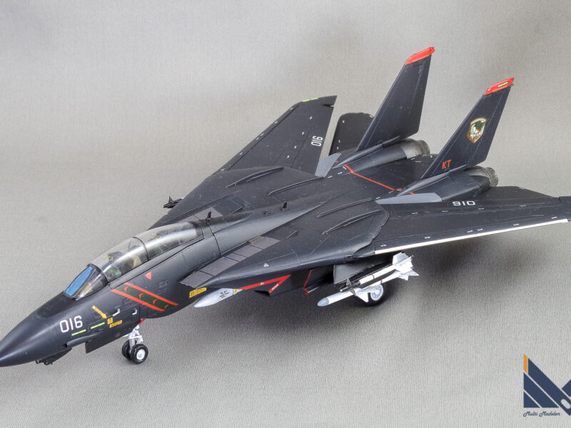 ハセガワ　1/72 F-14A エースコンバット５　ラーズグリーズ　プラモデル　完成品