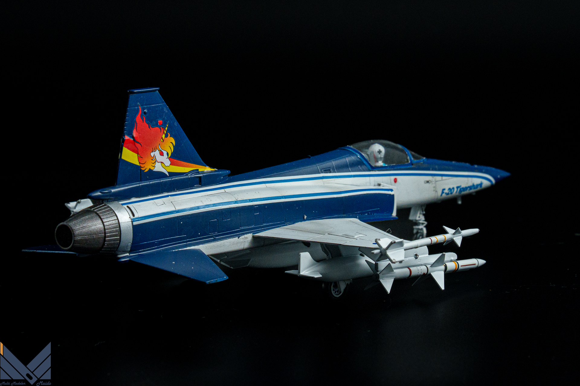ハセガワ　1/72 Ｆ-20　タイガーシャーク　エリア88　風間真　完成品