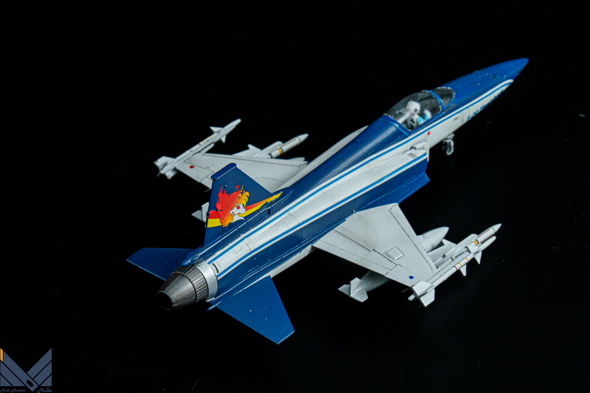 ハセガワ　1/72 Ｆ-20　タイガーシャーク　エリア88　風間真　完成品