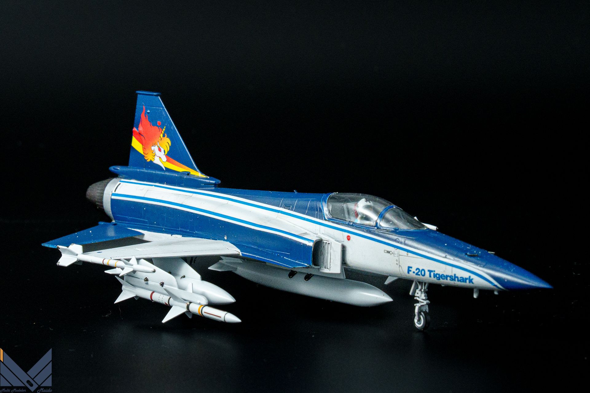 ハセガワ　1/72 Ｆ-20　タイガーシャーク　エリア88　風間真　完成品