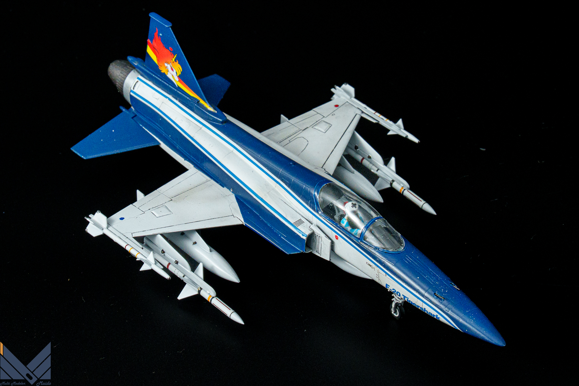 ハセガワ　1/72 Ｆ-20　タイガーシャーク　エリア88　風間真　完成品